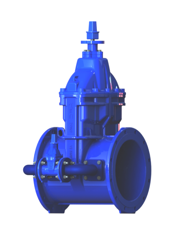 Resilient Seated Gate Valves – By-pass