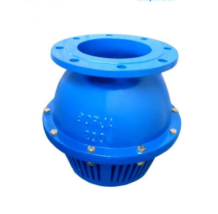 DNS Foot Valve