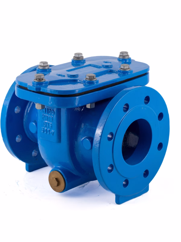 DNS H Type Strainer